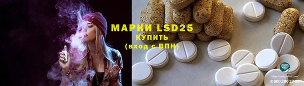 ECSTASY Белокуриха