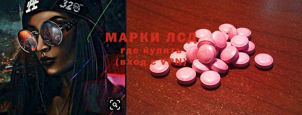 ECSTASY Белокуриха